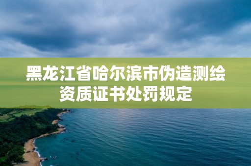 黑龙江省哈尔滨市伪造测绘资质证书处罚规定