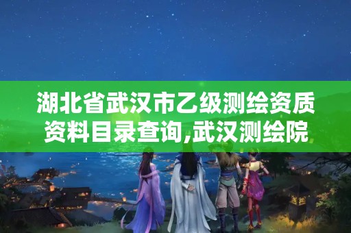 湖北省武汉市乙级测绘资质资料目录查询,武汉测绘院是什么级别。