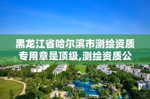 黑龙江省哈尔滨市测绘资质专用章是顶级,测绘资质公示在哪里查询。