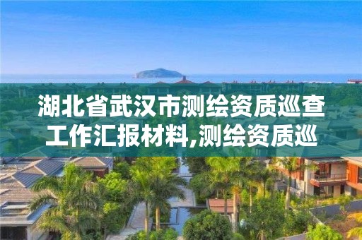 湖北省武汉市测绘资质巡查工作汇报材料,测绘资质巡查整改报告。