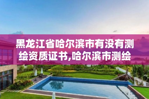 黑龙江省哈尔滨市有没有测绘资质证书,哈尔滨市测绘公司。