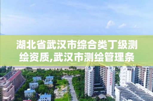 湖北省武汉市综合类丁级测绘资质,武汉市测绘管理条例。