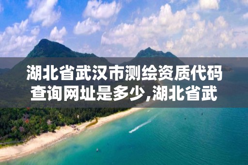 湖北省武汉市测绘资质代码查询网址是多少,湖北省武汉市测绘资质代码查询网址是多少号。