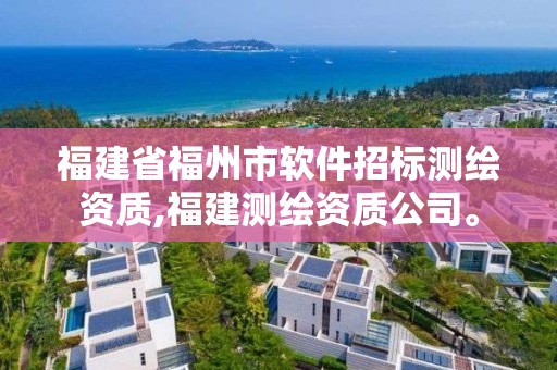 福建省福州市软件招标测绘资质,福建测绘资质公司。