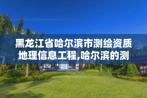 黑龙江省哈尔滨市测绘资质地理信息工程,哈尔滨的测绘公司有哪些。