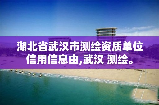 湖北省武汉市测绘资质单位信用信息由,武汉 测绘。