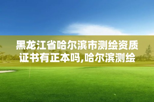 黑龙江省哈尔滨市测绘资质证书有正本吗,哈尔滨测绘院招聘。