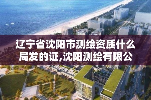 辽宁省沈阳市测绘资质什么局发的证,沈阳测绘有限公司。