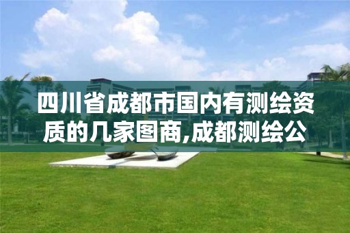 四川省成都市国内有测绘资质的几家图商,成都测绘公司收费标准。