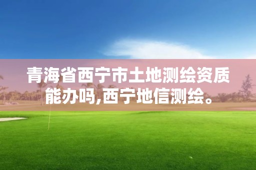 青海省西宁市土地测绘资质能办吗,西宁地信测绘。