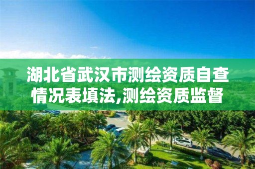 湖北省武汉市测绘资质自查情况表填法,测绘资质监督检查办法。