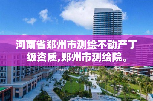 河南省郑州市测绘不动产丁级资质,郑州市测绘院。