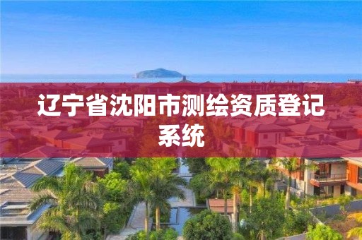 辽宁省沈阳市测绘资质登记系统