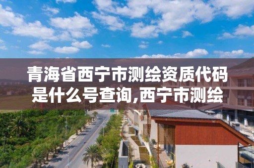 青海省西宁市测绘资质代码是什么号查询,西宁市测绘院招聘公示。