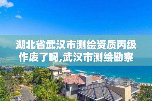 湖北省武汉市测绘资质丙级作废了吗,武汉市测绘勘察设计甲级资质公司。