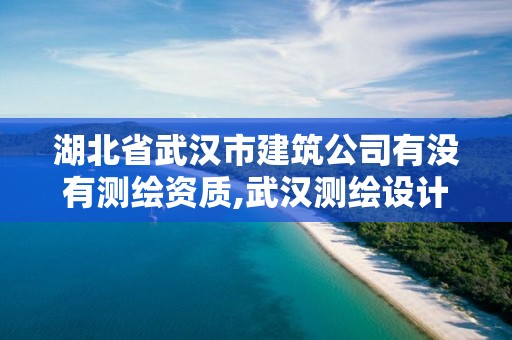 湖北省武汉市建筑公司有没有测绘资质,武汉测绘设计院。