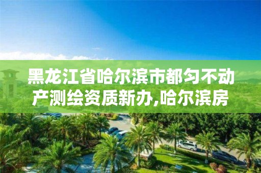 黑龙江省哈尔滨市都匀不动产测绘资质新办,哈尔滨房屋测绘。