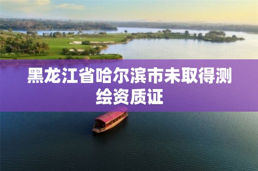 黑龙江省哈尔滨市未取得测绘资质证