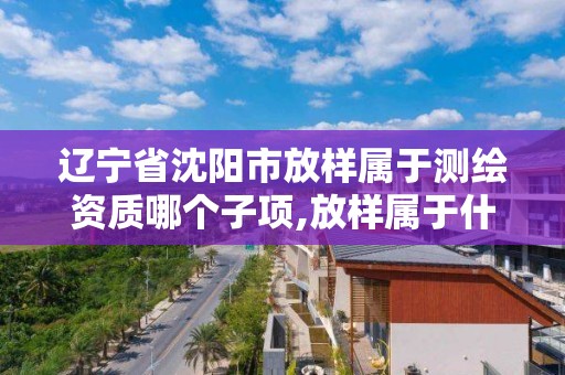 辽宁省沈阳市放样属于测绘资质哪个子项,放样属于什么测绘。