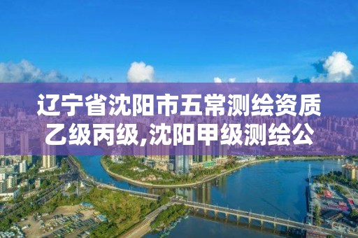 辽宁省沈阳市五常测绘资质乙级丙级,沈阳甲级测绘公司。