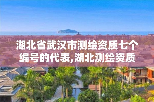 湖北省武汉市测绘资质七个编号的代表,湖北测绘资质单位。