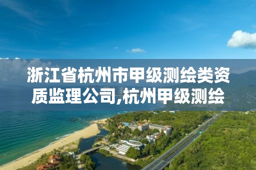 浙江省杭州市甲级测绘类资质监理公司,杭州甲级测绘公司有哪些。