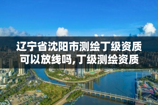 辽宁省沈阳市测绘丁级资质可以放线吗,丁级测绘资质要求。