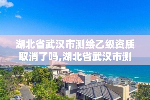 湖北省武汉市测绘乙级资质取消了吗,湖北省武汉市测绘乙级资质取消了吗今年。