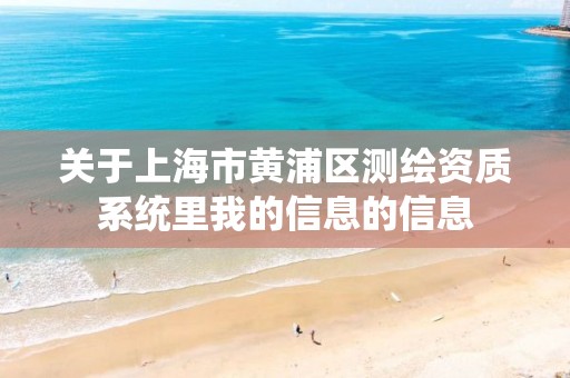 关于上海市黄浦区测绘资质系统里我的信息的信息