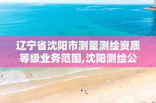 辽宁省沈阳市测量测绘资质等级业务范围,沈阳测绘公司哪家强哪家好。