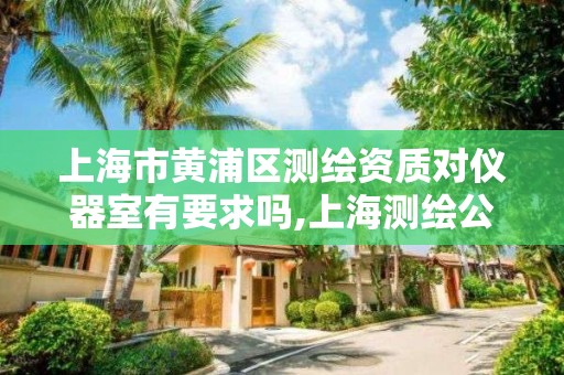 上海市黄浦区测绘资质对仪器室有要求吗,上海测绘公司有哪几家。