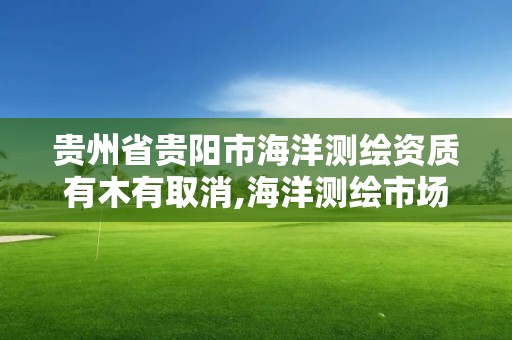 贵州省贵阳市海洋测绘资质有木有取消,海洋测绘市场。