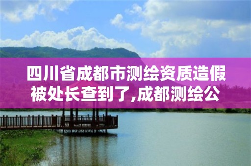 四川省成都市测绘资质造假被处长查到了,成都测绘公司联系方式。