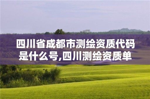 四川省成都市测绘资质代码是什么号,四川测绘资质单位。