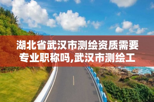 湖北省武汉市测绘资质需要专业职称吗,武汉市测绘工程技术规定。