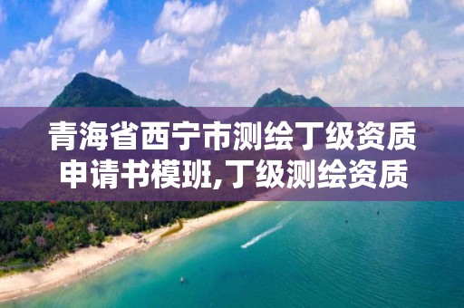 青海省西宁市测绘丁级资质申请书模班,丁级测绘资质审批机关是。