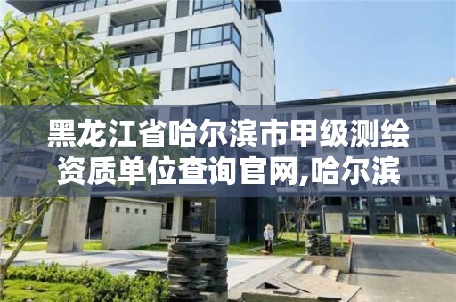 黑龙江省哈尔滨市甲级测绘资质单位查询官网,哈尔滨甲级测绘公司。