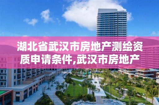 湖北省武汉市房地产测绘资质申请条件,武汉市房地产测绘实施细则。