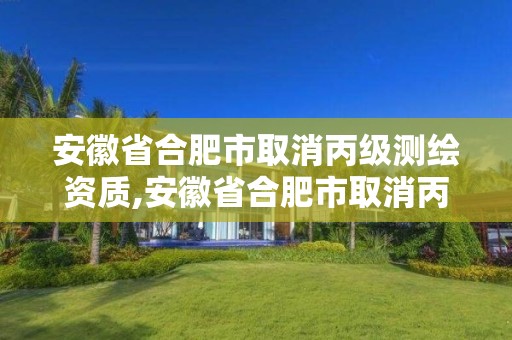 安徽省合肥市取消丙级测绘资质,安徽省合肥市取消丙级测绘资质了吗。