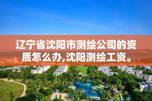 辽宁省沈阳市测绘公司的资质怎么办,沈阳测绘工资。