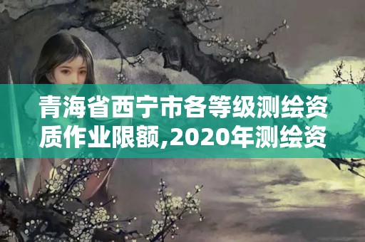 青海省西宁市各等级测绘资质作业限额,2020年测绘资质。