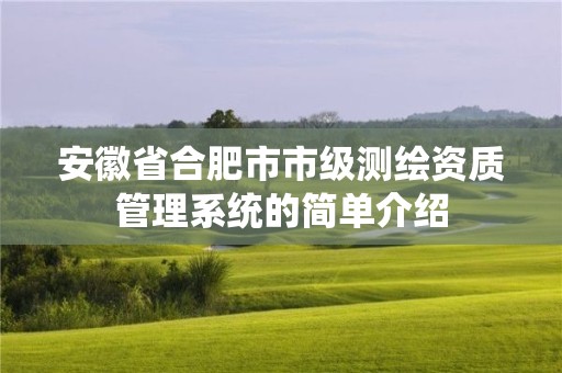 安徽省合肥市市级测绘资质管理系统的简单介绍