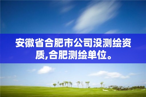 安徽省合肥市公司没测绘资质,合肥测绘单位。