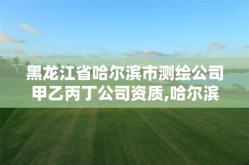 黑龙江省哈尔滨市测绘公司甲乙丙丁公司资质,哈尔滨测绘局属于什么单位。