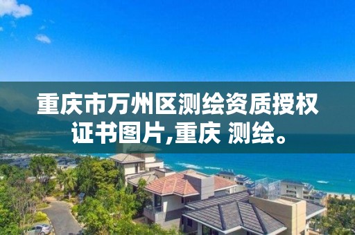 重庆市万州区测绘资质授权证书图片,重庆 测绘。