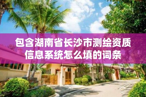 包含湖南省长沙市测绘资质信息系统怎么填的词条