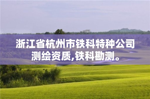 浙江省杭州市铁科特种公司测绘资质,铁科勘测。