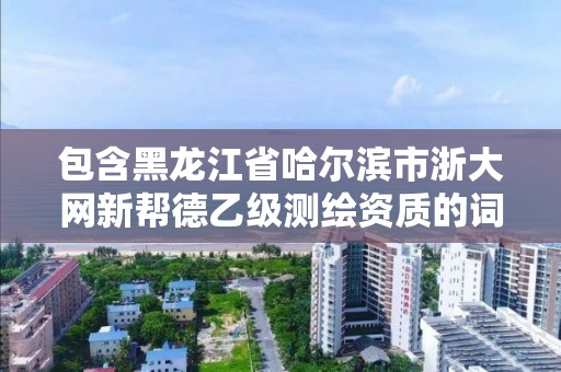 包含黑龙江省哈尔滨市浙大网新帮德乙级测绘资质的词条