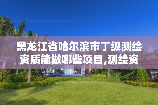 黑龙江省哈尔滨市丁级测绘资质能做哪些项目,测绘资质丁级是什么意思。