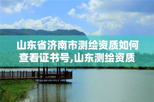 山东省济南市测绘资质如何查看证书号,山东测绘资质管理平台。